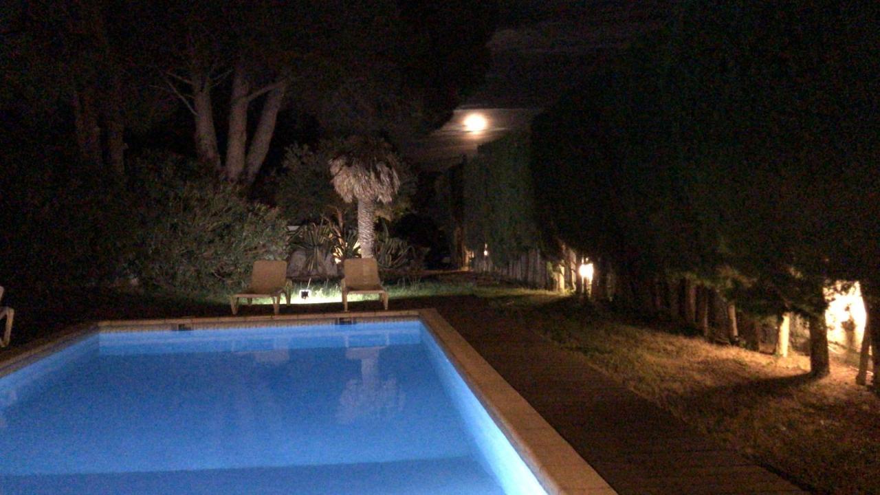 La Palmera * Perpiñán